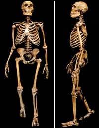 Homo neanderthalensis (230-30 e.