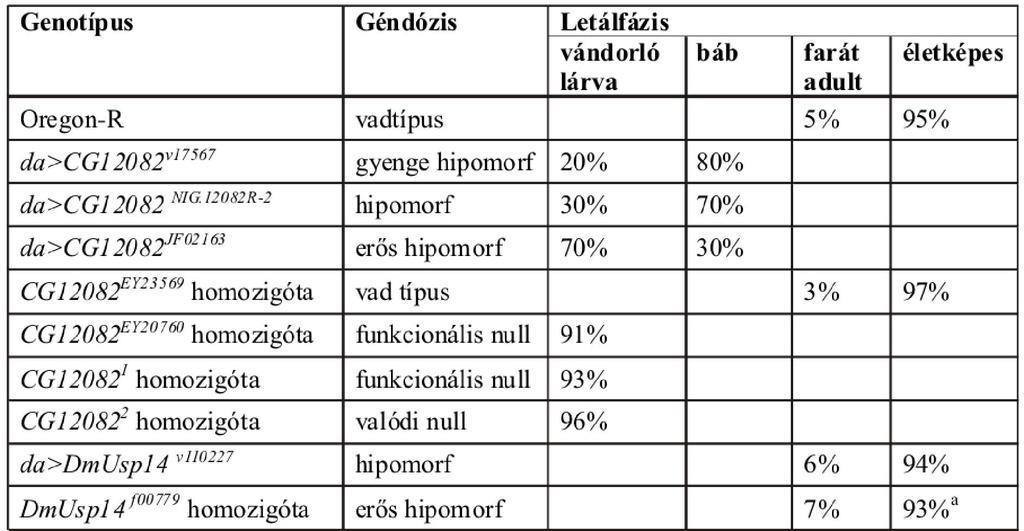 A szemspecifikus driverrel történő szűrést követően, a CG12082 gént választottuk ki részletesebb jellemzésre.