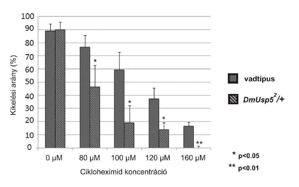 12. ábra A DmUsp5 heterozigóták érzékenyek cikloheximidre, egy transzlációt gátló szerre.