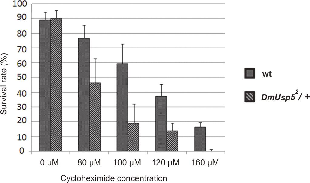 Role of DmUsp5 in Ubiquitin Equilibrium Fig 6. DmUsp5 mutant heterozygotes are sensitive to cycloheximide.