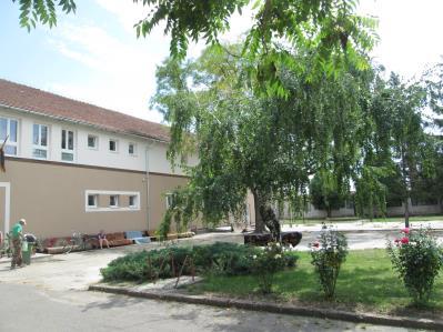 1.13. Zöldfelületi rendszer vizsgálata Az iskola kertje, udvara.