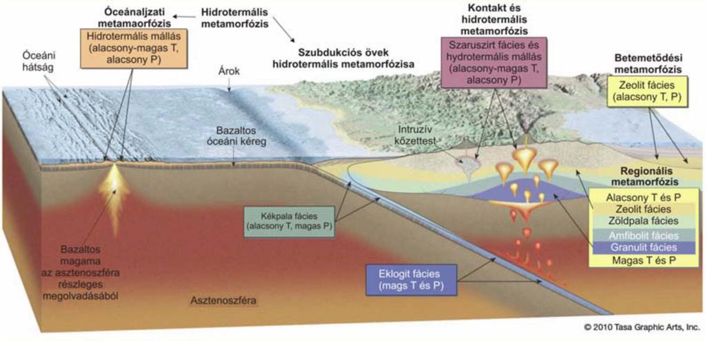 A metamorfózis típusai különböző lemeztektonikai környezetben Hidrotermális átalakulás (kis-nagy T és kis P) Szkarn és szaruszirt, hidrotermális átalakulás (kis-nagy T és kis P) Zeolit