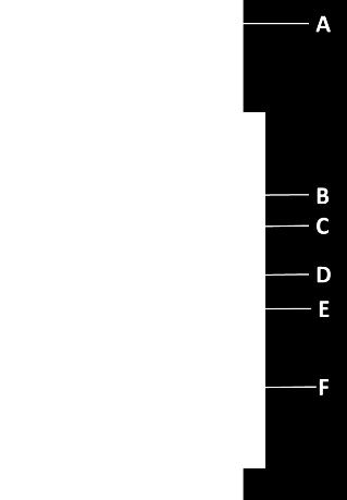 A) termés B) levél C) virágzat D) gyökér A képen a Panax ginseng gyökerének keresztmetszete látható (Liu et al. Comb Chem High Throughput Screen. 2010 13(10):869-84.). Írja be a megfelelő betű jelét az alábbi mondatokhoz!