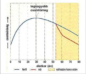 szegycsont) szabálytalan csontok (pl.