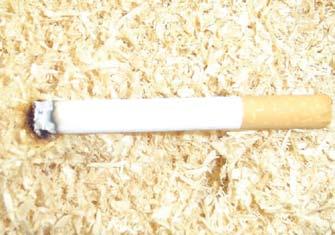 0,6 mm.