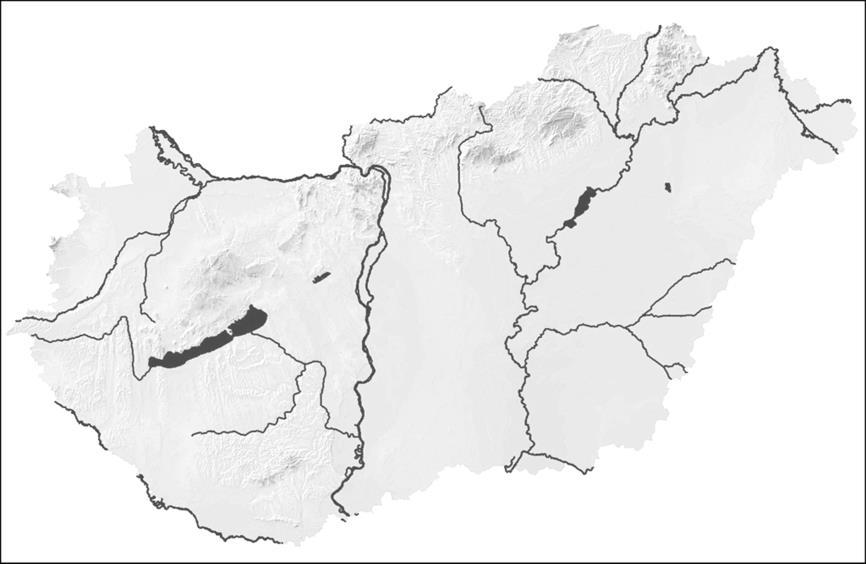 Noha a S. turkestanicum elsődleges élőhelye a belek vénái (Majoros et al., 2010), és a májban csak kis hányaduk van, olykor így is jelentős számban találtuk meg azokat a mintákban.