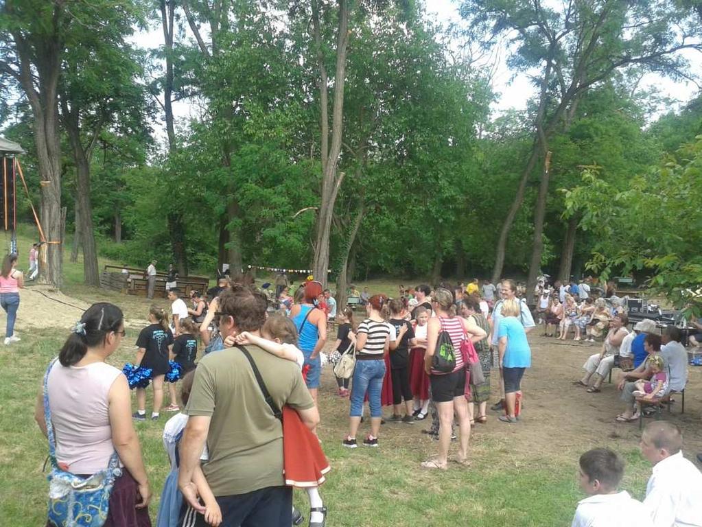 A CÉLOK ELÉRÉSÉHEZ HOZZÁJÁRULÓ TEVÉKENYSÉGEK Családmozgalmak megyei