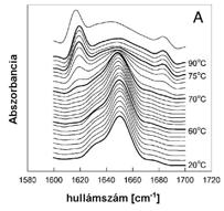 fázisdiagram Lizozim: FIR