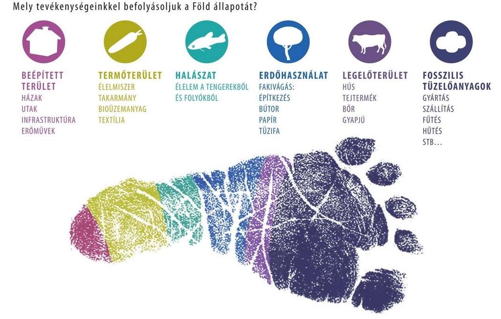 Ökológiai