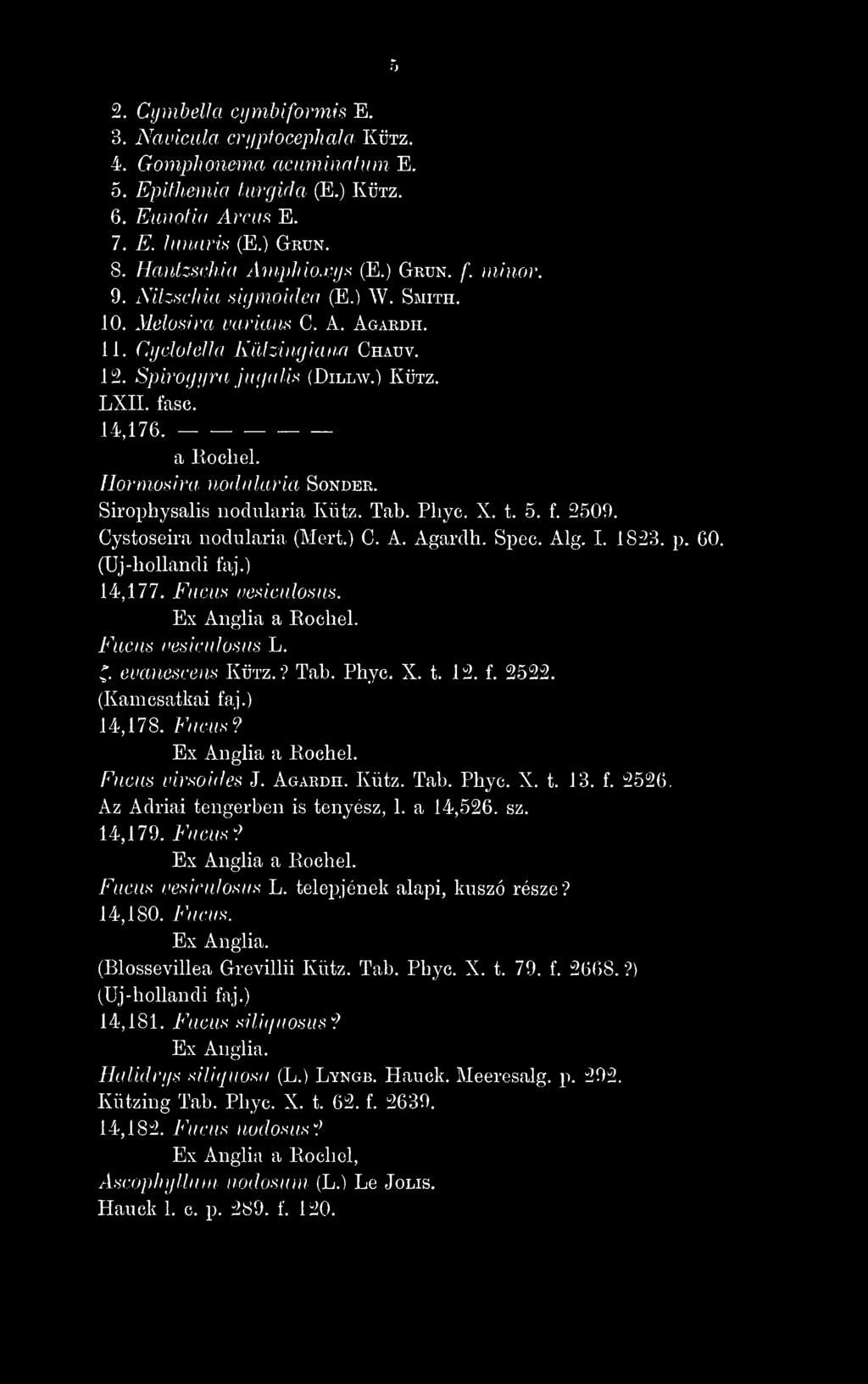 Hormosira )iodularia, Sonder. Sirophysalis nodularia Kütz. Tab. Phyc. X. t. 5. f. 2509. Cystoseira nodularia (Mert.) C. A. Agardh. Spec. Alg. I. 1823. p. 60. (Uj -hollandi faj.) 14,177.