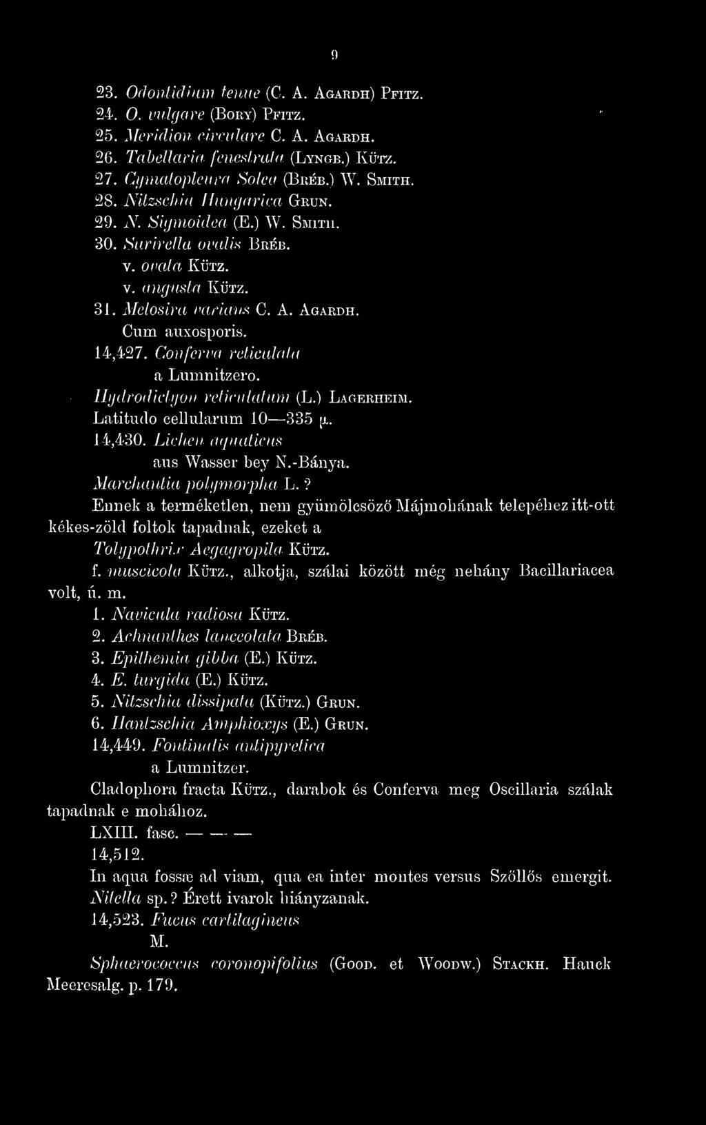 , alkotja, szálai között még néhány Bacillariacea 1. Navicula rádiósa Kütz. 2. Acknanthes lanceolata, Bréb. 3. Epithemia gihha (E.) Kütz. 4. E. turgida (E.) Kütz. 5. Nitzschia dissipata (Kütz.) Grun.