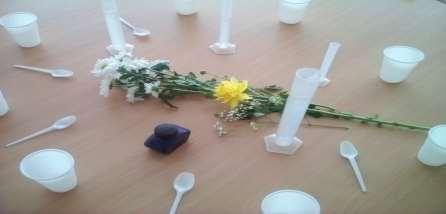 În primul rând contactul nemijlocit cu natura oferă copiilor posibilitatea de cunoaștere a aspectelor legate de fenomenele care au loc în natură, cauzele care le produc, consecințele care le au.