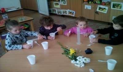 Fiecare copil a pus câte o narcisă în paharul său, unde a turnat apă și apoi cerneală albastră. Am stat toți cu privirile ațintite asupra paharelor și am observat florile cu atenție.