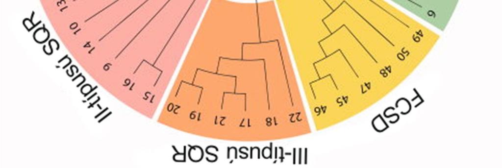 - típusú enzimeket egyes zöld kénbaktériumok (Chlorobium tepidum CT1025), Sulfolobales archeák és a Caldivirga maquilingensis archea (67) SQR-ei képviselik. A IV.