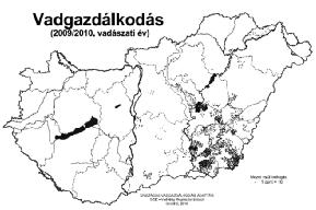 A mezei nyúl gazdálkodás A hasznosítási arány: az aktuális állapotához mérten a lehető legnagyobb a törzsállományt nem veszélyeztető a jelenlegi gyakorlat erre alkalmatlan tavaszi állománybecslés?