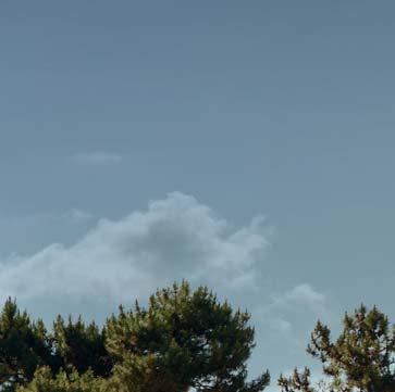 A bérleti díjak meghatározása az aktuális feltételek és a hatályos jogszabályok figyelembevételével készült, amelyek például a választott modellnek, az