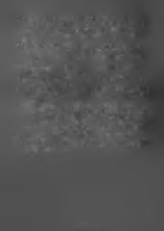 KOFÓID, C. A. (1911): Dinoflagellata of the San Diego region, IV The Genus Gonyaulax, with notes on its skeletal inorfology and a discussion of its generic and specific characters. - Univ. Calif.