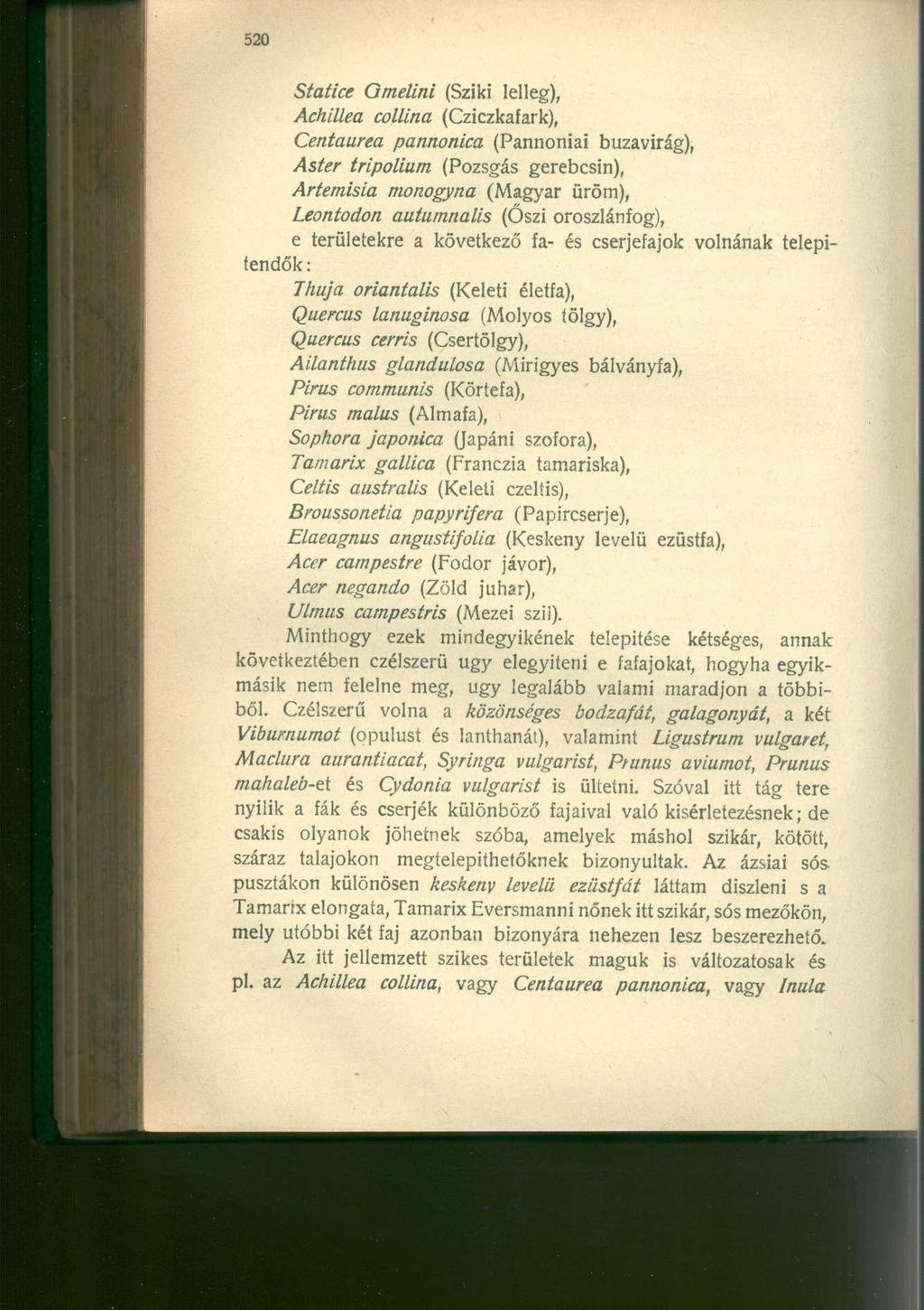 Statice Omelini (Sziki lelleg), Achillea collina (Cziczkaiark), Centaurea pannonica (Pannóniai búzavirág), Aster tripolium (Pozsgás gerebcsin), Artemisia monogyna (Magyar üröm), Leontodon autumnalls