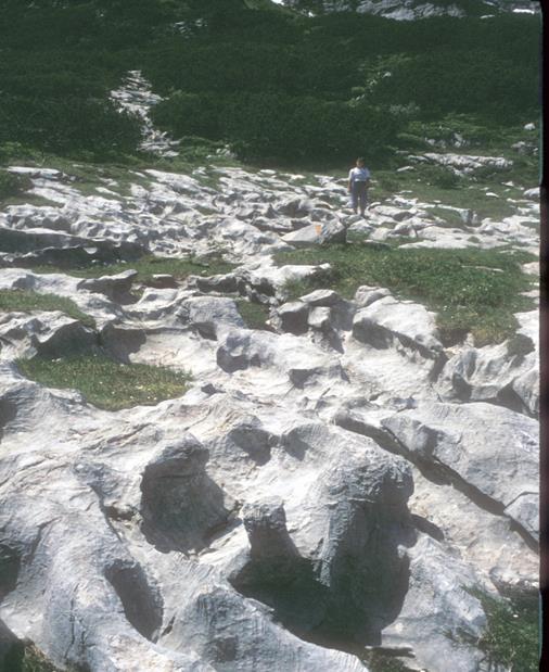 Köves sziklás váztalaj Tömör kőzetű hegyvidékeinken fordulnak elő, ahol a tömör kőzet kismértékű elaprózódása és mállása, valamint az erózió hatása nem tette lehetővé nagy szervesanyag tömeget