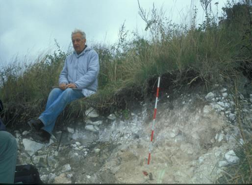 Rendzina Tömör, szénsavas meszet tartalmazó alapkőzet (mészkő, márga, dolomit) Sekély termőréteg Nagy