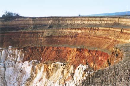 The outcrops in the Lower Danube basin (in the environs of Vetovo) can be regarded also as almost complete sections.