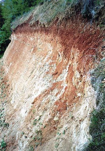 6 meters. The underlying Jurassic paleokarst system was covered in by its own material, and different types of kaolinites were formed from the weathered deposits.
