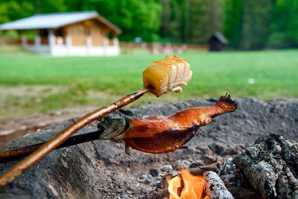 A természeti környezet kínálja magát az erdei piknikezésre, a kinti sütögetésre, amihez a Szalajkavölgy legteteje, a Gloriett-tisztás bámulatos hátteret nyújt.