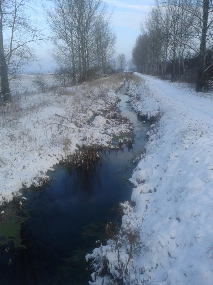 A Kétöles-patak Veszprém megyében, Nyírádtól délre ered. A patak déli irányban halad a forrásától Szigligetig, ahol a Balatonba torkollik.