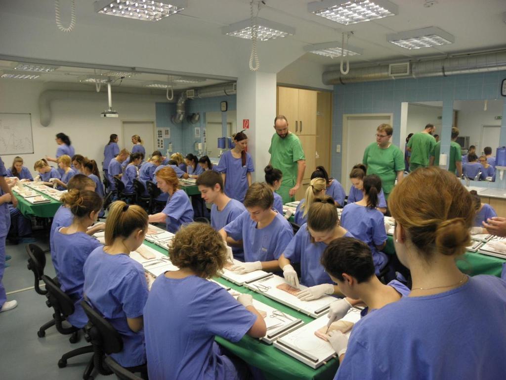 Semmelweis Egyetem, Kísérletes és Sebészeti Műtéttani Intézet