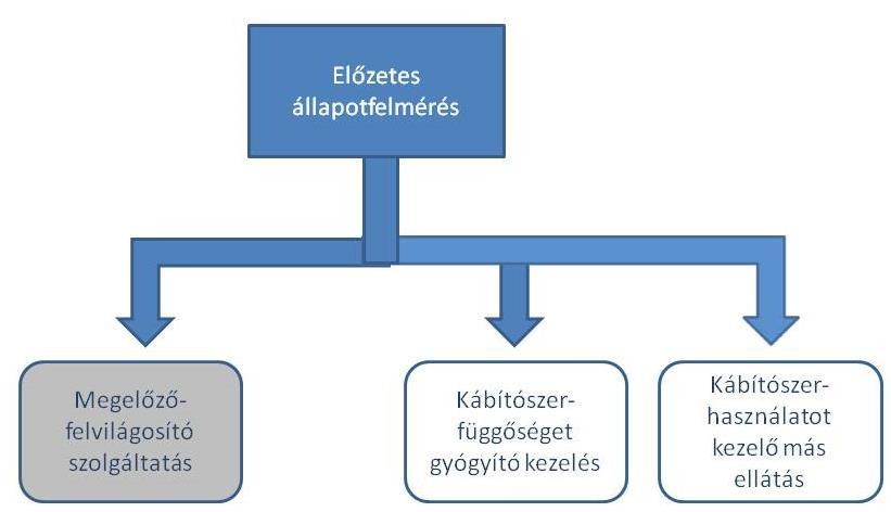 Az elterelést választókat egy pszichiáter szakorvos vagy klinikai szakpszichológus által végzett előzetes állapotfelmérés alapján utalják megelőző-felvilágosító szolgáltatásba (továbbiakban MFSZ)