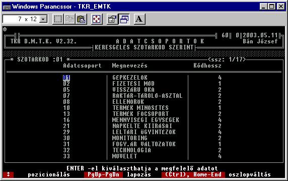 3.2.4. Adatcsoport ( egyéb adatok csoportosításai ) : A rendszer lényegi elemei ezek a kicsi-nek ill. egyszerűnek tünő adat típusok.