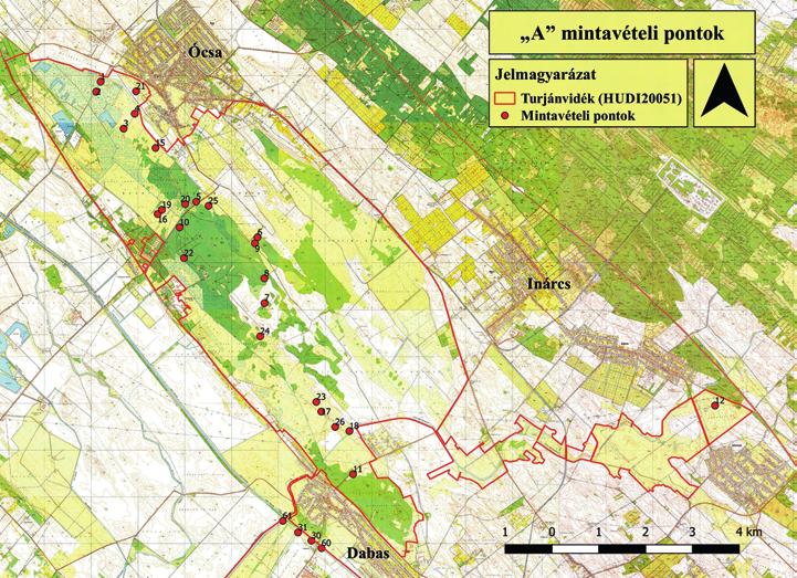 416 Varga András 1. ábra. Gyűjtési pontok a vizsgált terület É-i részén ( A ) Északi ( A ) mintavételi pontok (1. ábra) 1.