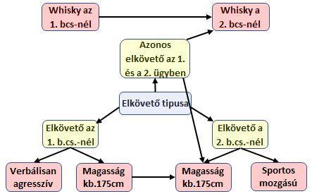 alkot. Az elkövető profilalkotásánál a tettes hasonló magassága a két háló összevonását megerősíti.