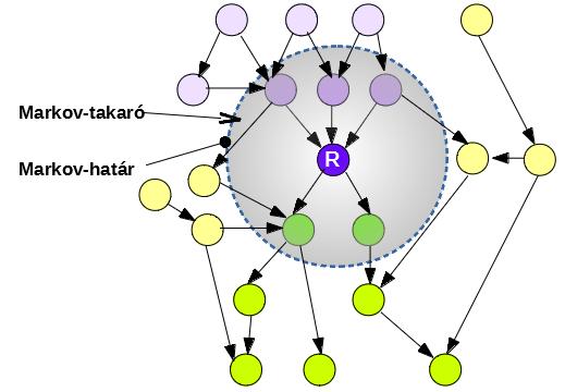 IV-8. ábra A Markov-takaró és a Markov-határ Egy nagyobb hálóban a csomóponthoz tartozó összes szülőt és gyermeket, továbbá a saját gyermekeikhez tartozó összes szülőt együttesen Markov-takarónak