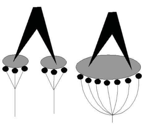 4. Lokalizáció, receptor-mezők A