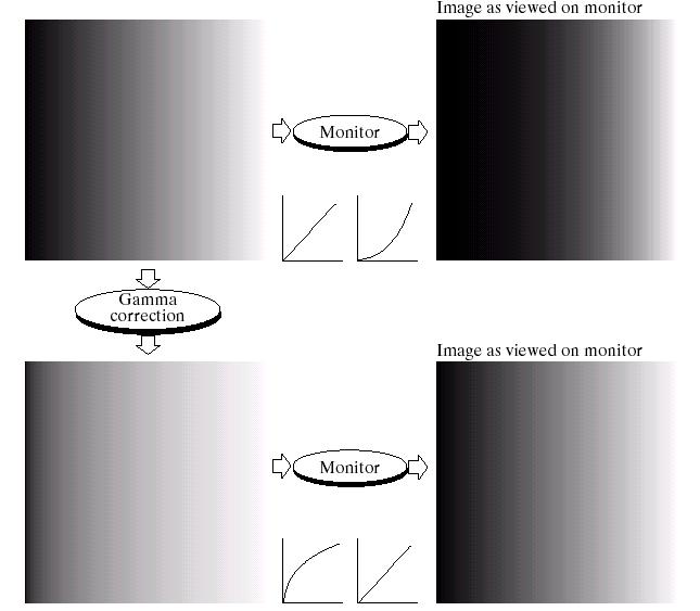 Gamma korrekció A hatvány transzformáció más elnevezése a gamma korrekció A CRT monitorok a megjelenítés során módosítják a képet,