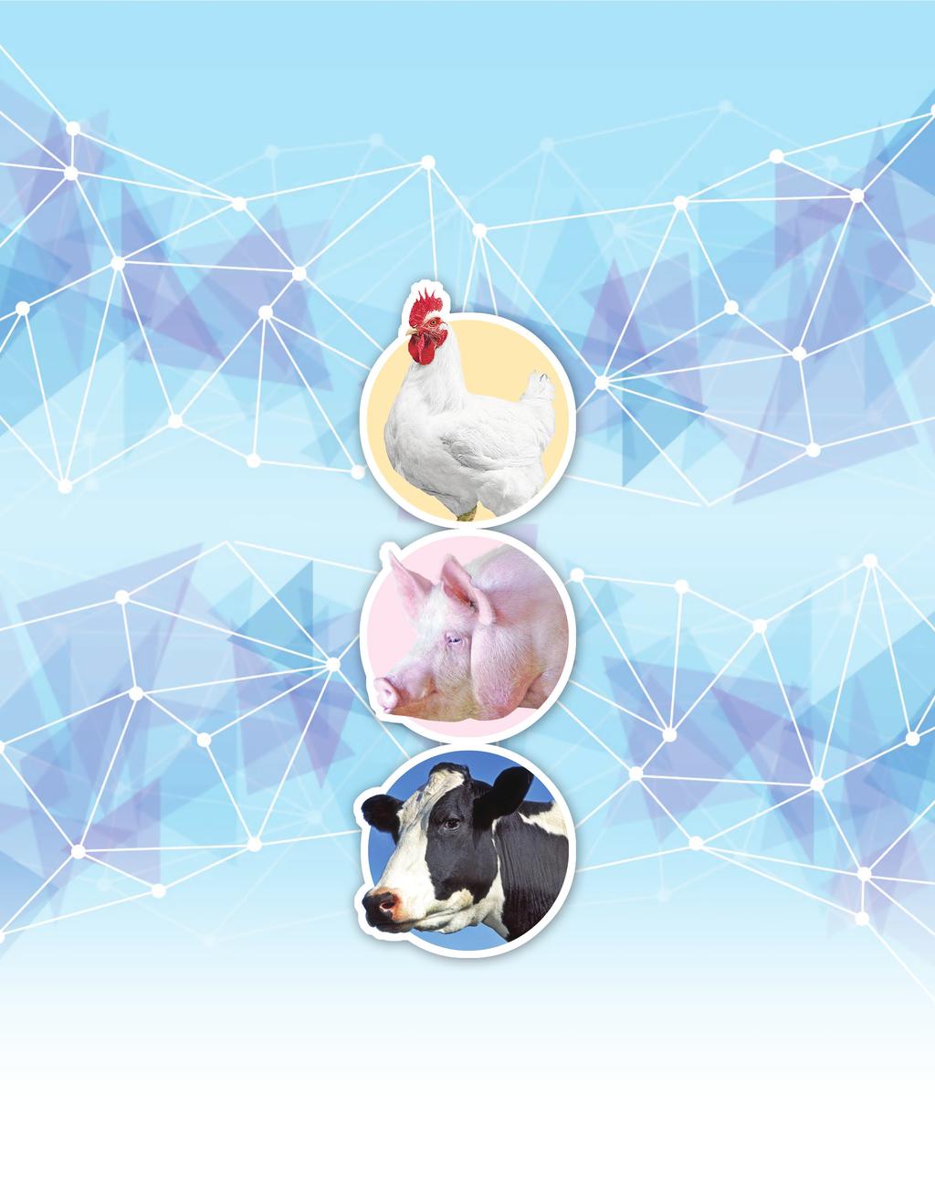 Tudás, ami táplál termékcsalád AZ Agrofeed