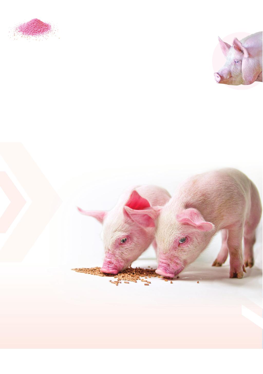 VivaOxi-Omega A VivaOxi-Omega egy speciális keveréke a sertések számára nélkülözhetetlen antioxidáns hatású vitaminoknak, szerves mikroelemeknek és természetes forrásból származó polifenoloknak,