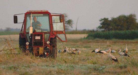 A LIFE Nature keretében megvalósuló programok a Madárvédelmi és az Élőhelyvédelmi Irányelv (79/409/EEC és 92/4/EEC) által előírt és kötelezően kialakítandó Natura 2000 hálózat területeinek