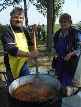 köszönjük az áldozatos munkáját