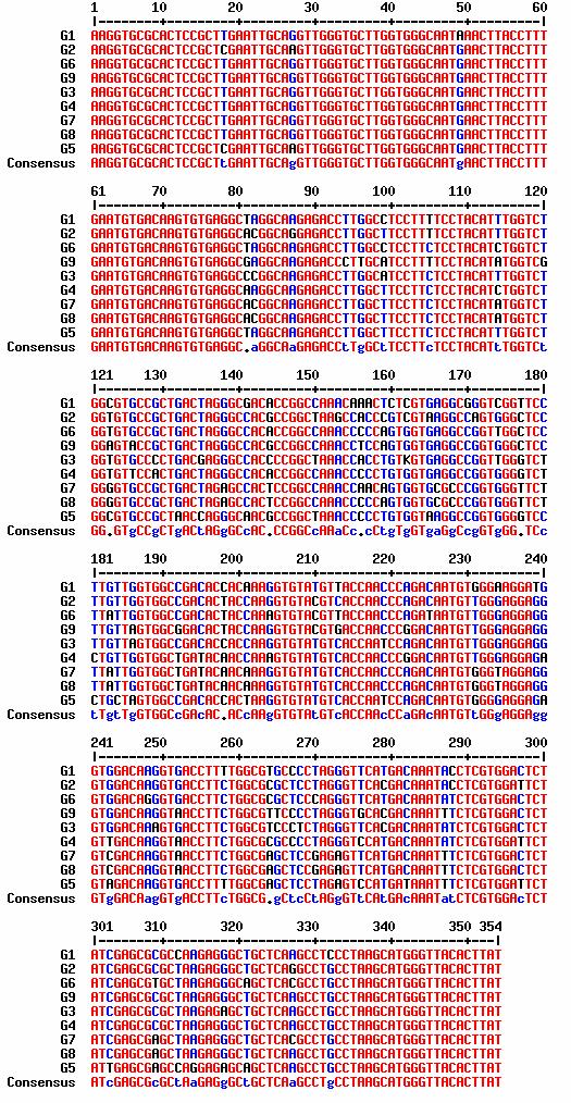 2001, 2003, 2005, 2006 években) kaptunk minimum egy éves időközökben levéve vérmintát. A beteg heveny limfoblasztos leukémiában (ALL) szenvedett.