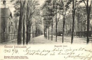 Debrecen, a debr eceni
