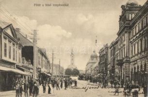 Nagycenk, Gróf Széchenyi