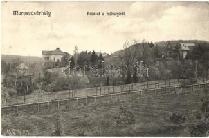 Mures; Kultúrpal 20964.