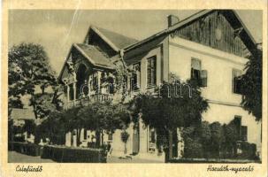 Bodrogszerdahel y, Streda nad