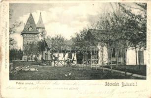 1906 Palánka, Bá