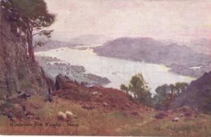 Swanage, Rough Se 21827.