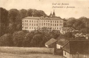 Berezhany, Brzez any;