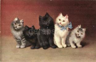 22232. Five cats. T. S.