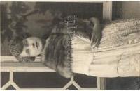 Waldorf Manon, Tak 22469.